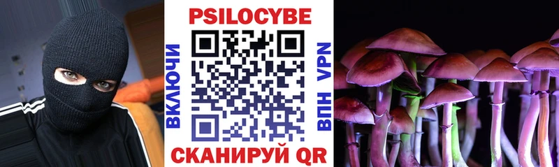 Псилоцибиновые грибы Psilocybe  omg вход  Александровск 